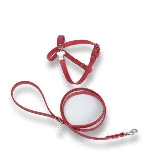 MY SWEET KIKI HARNESS & LEASH SET