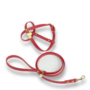 MY SWEET KIKI HARNESS & LEASH SET