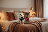 Due cagnoline sul letto tra i cuscini