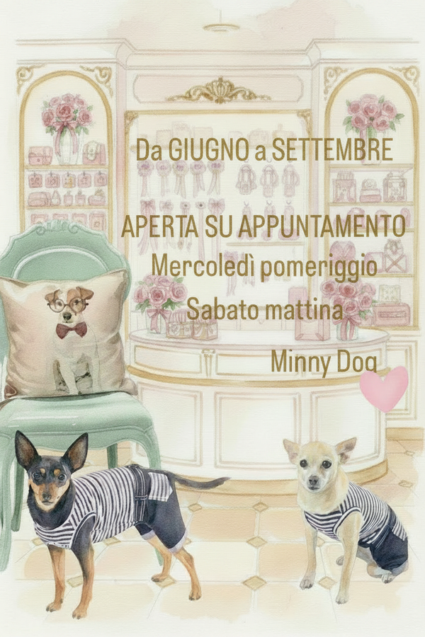 Minny Dog Testo Oro Completo