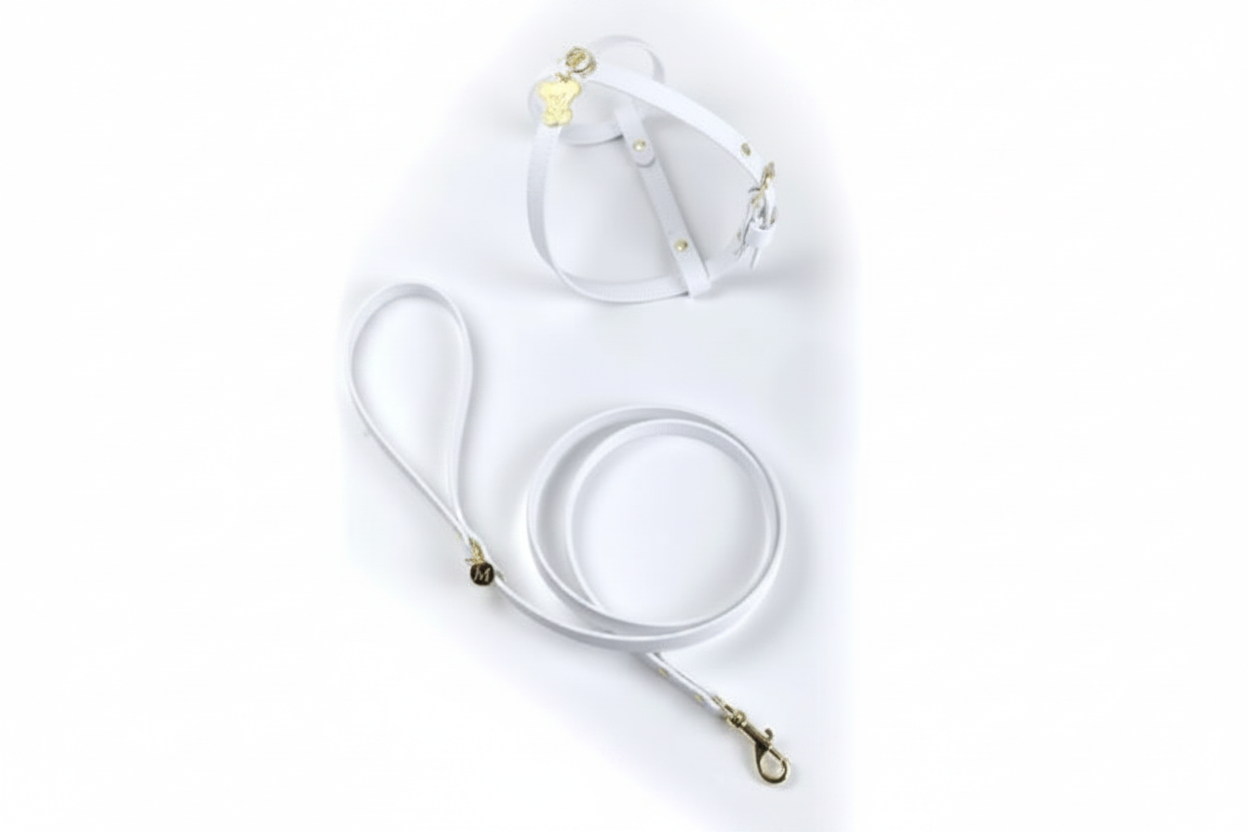 Pettorina e guinzaglio bianco oro sfondo bianco puro
