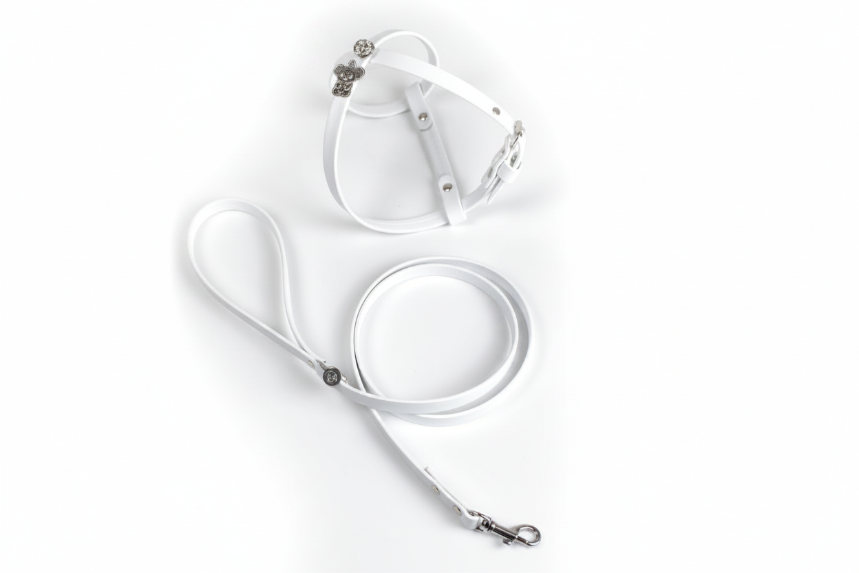 MY SWEET KIKI HARNESS & LEASH SET